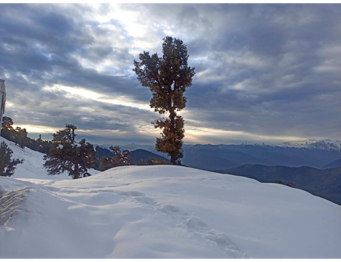 Chopta Wildlife Camps Resorts, Chopta Exterior foto